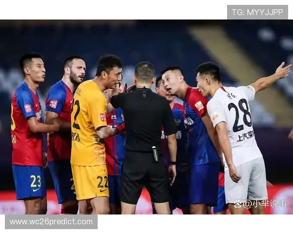 2006年世界杯决赛中裁判判罚争议对比赛结果的影响分析