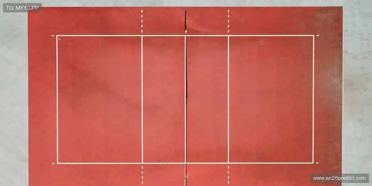 🎯 专业装备，助力你突破极限，成就传奇！🎮